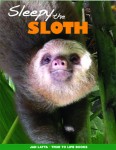 Sleepy the Sloth