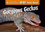 Steve Parish Reptiles and Amphibians - Gorgeous Geckos