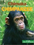 Chimaka the Chimpanzee