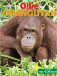 Ollie the Orangutang