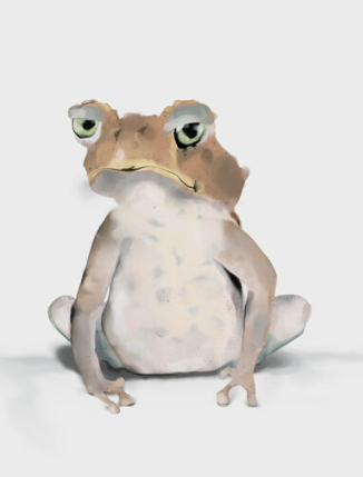 frog2.png